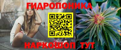прущие крисы Бузулук